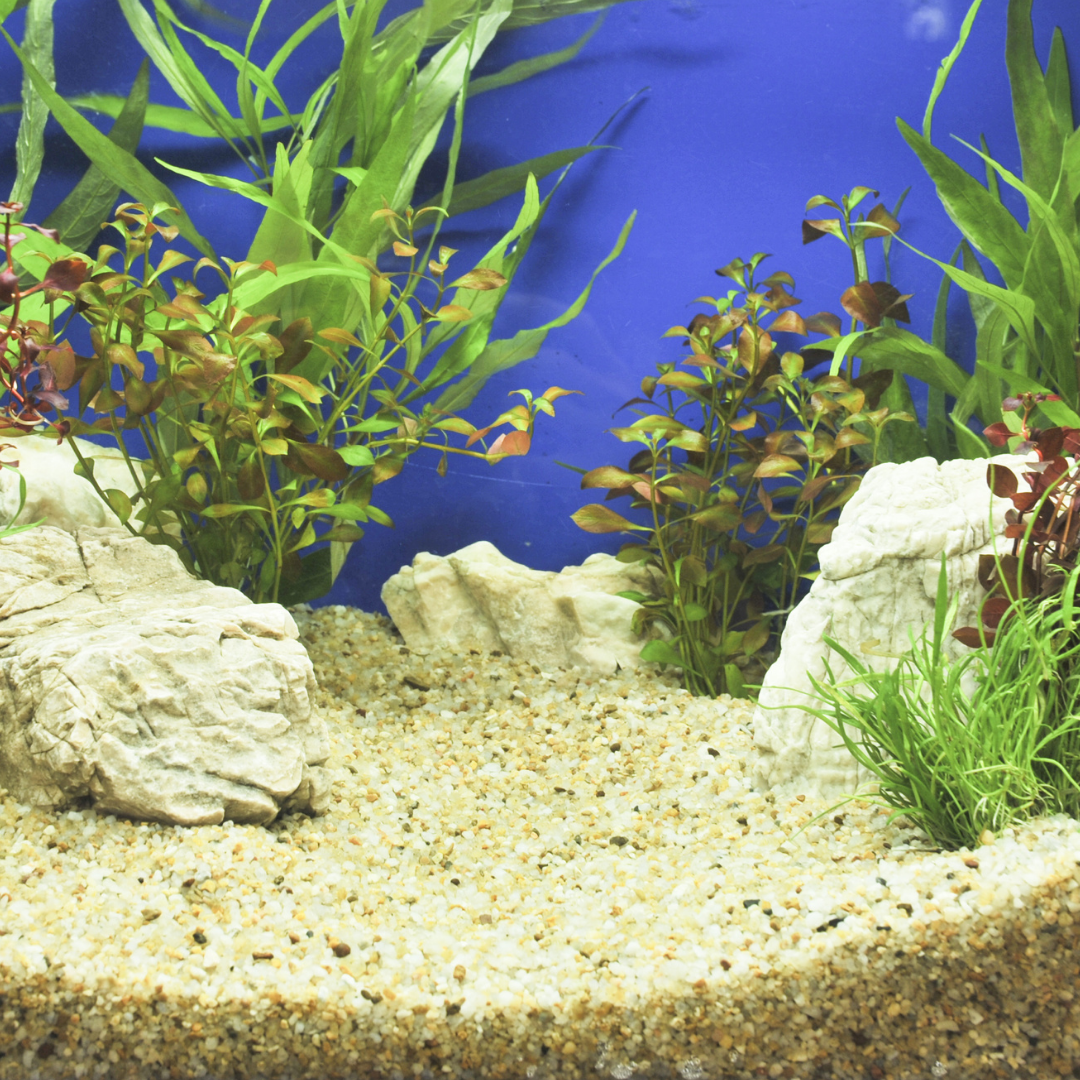 Fish Tank Gravel